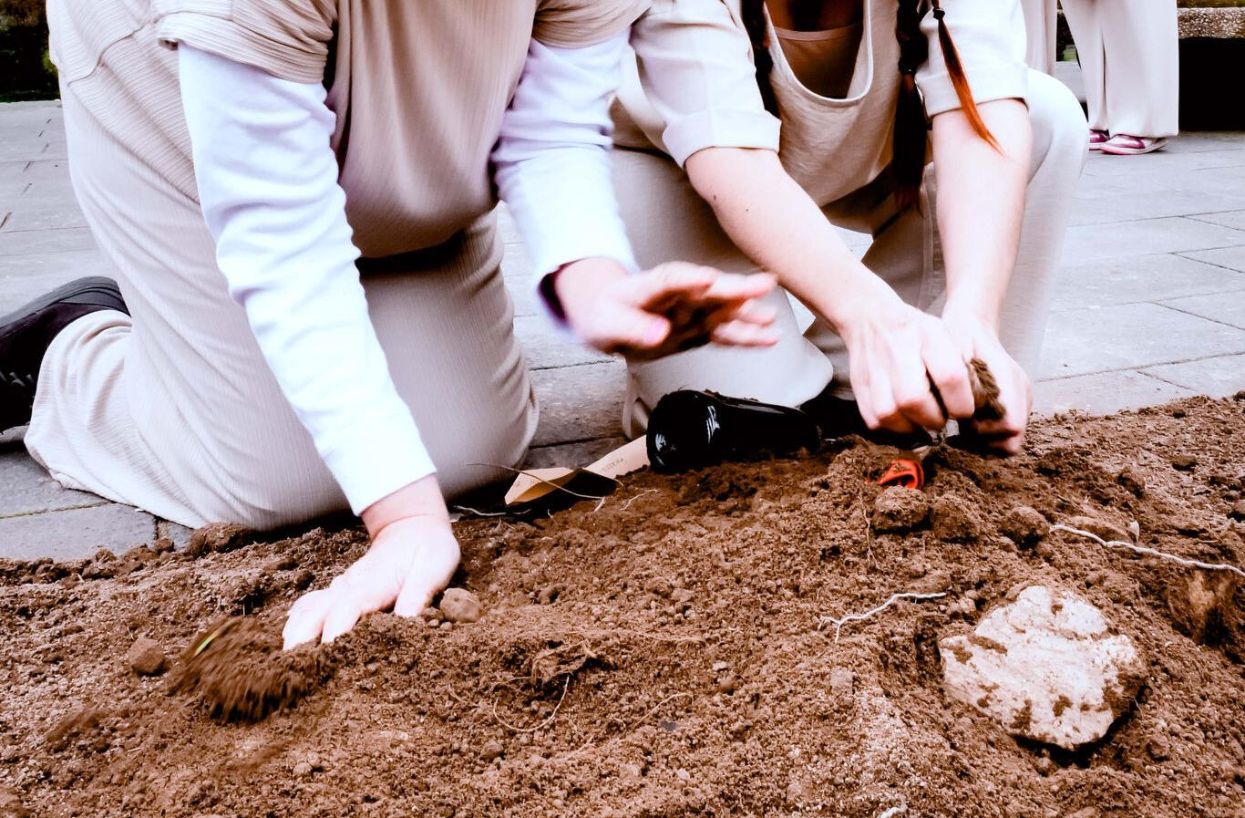 Nel Sogno Io Dormivo